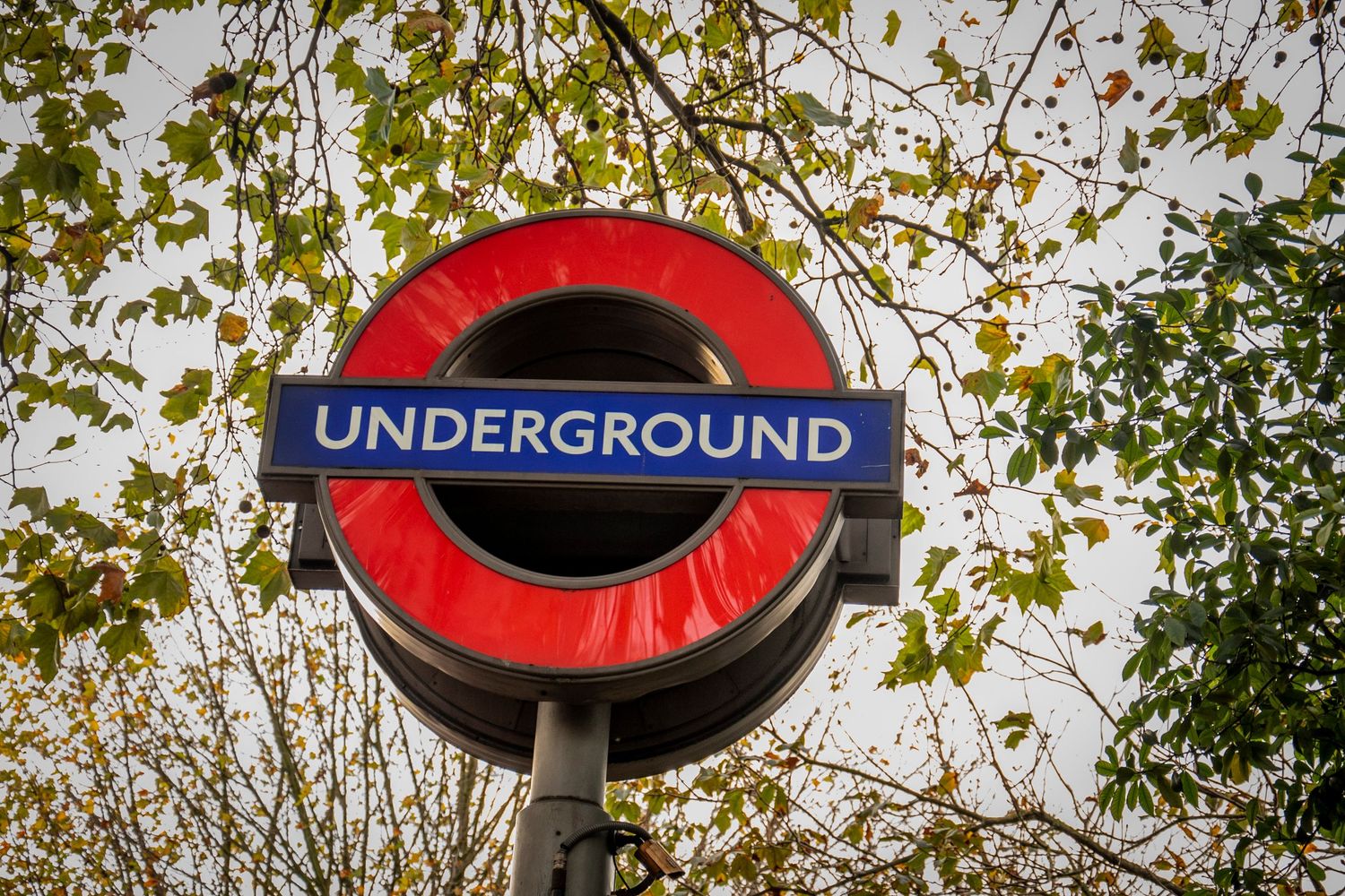 London Underground entrance signs and red roundel logos on posts among autumn trees.