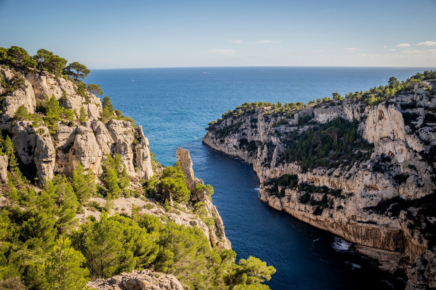Panoramic aerial view of rocky coastal cliffs overlooking the turquoise Mediterranean Sea with pine trees dotting the landscape.