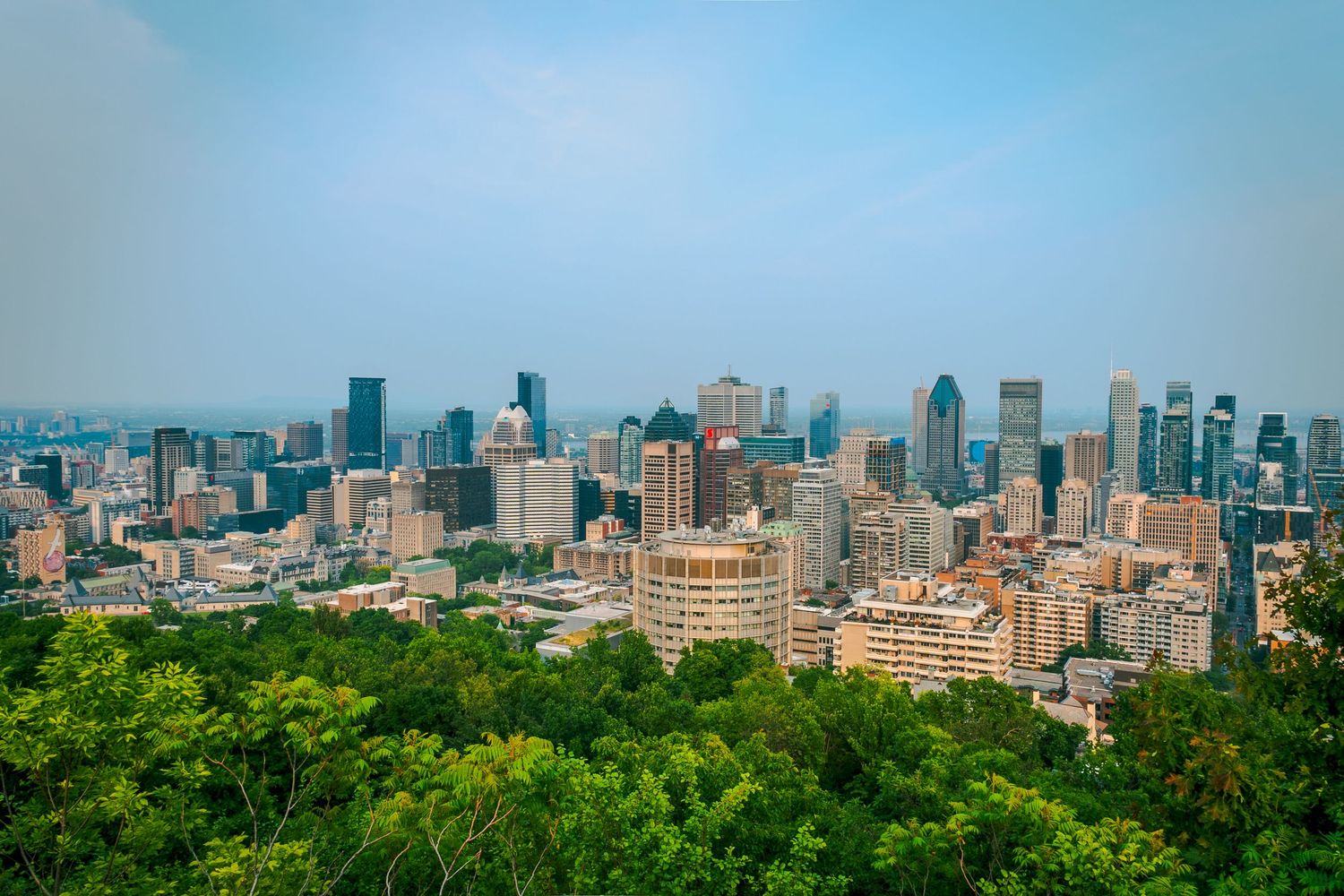 Aerial view of Montreal cityscape and downtown skyscrapers against blue sky with lush green trees in foreground.