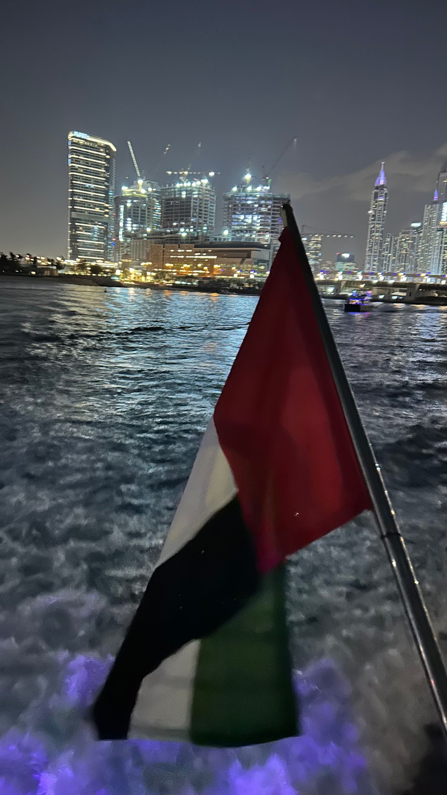 UAE flag waves against Dubai's illuminated skyline and waterfront with modern skyscrapers glowing at night.