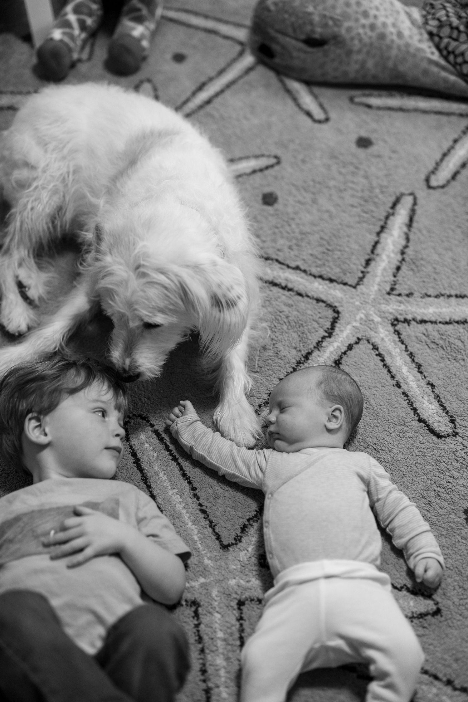 New born baby lays on the carpet next to her brother while their dog watches over them.