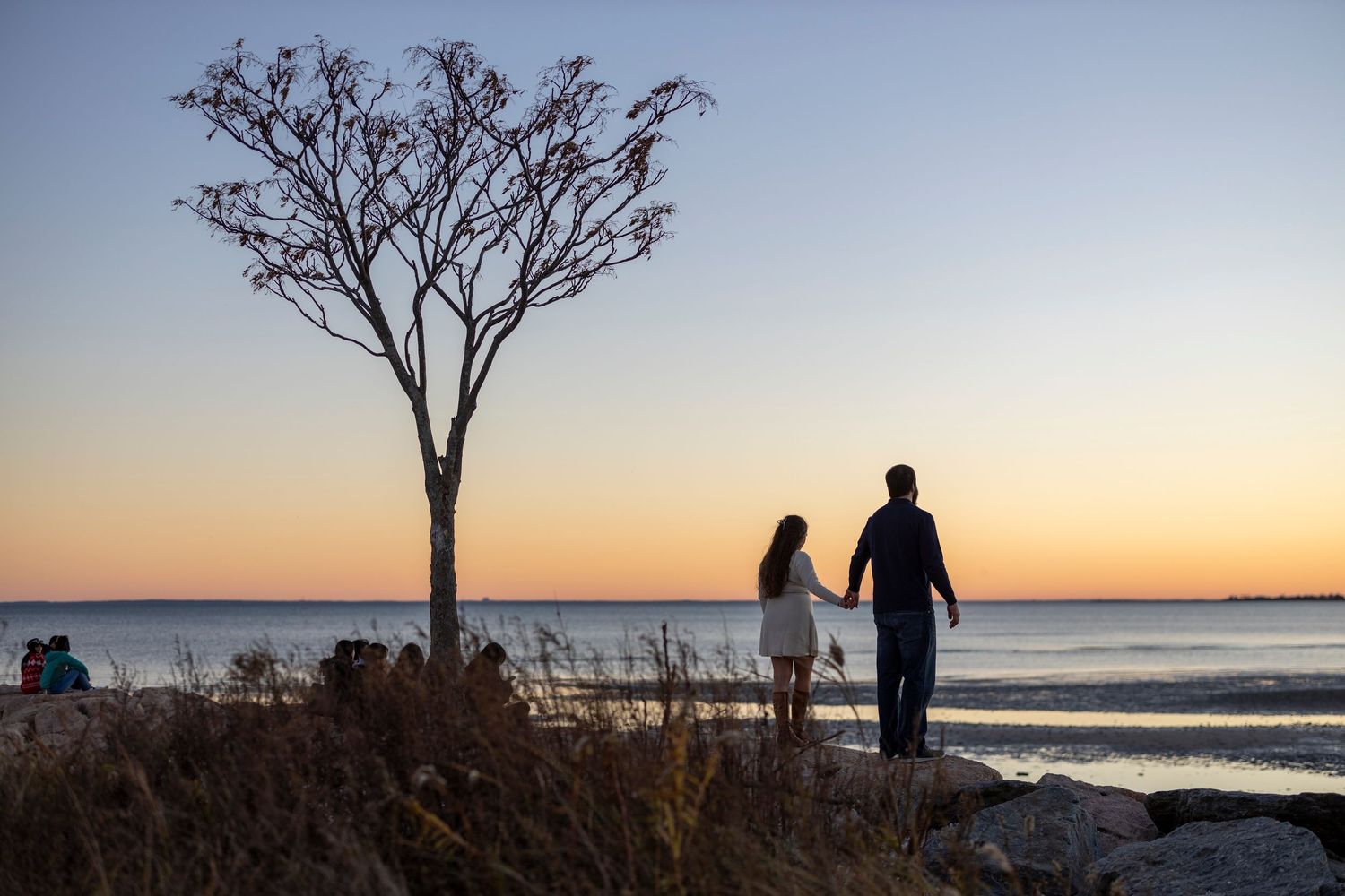 Silhouette of two people standing by a lone tree at sunset overlooking the ocean horizon.