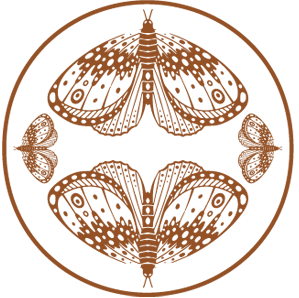 Symmetrical brown butterfly illustration design featuring two mirrored moths in a circular frame on black background.