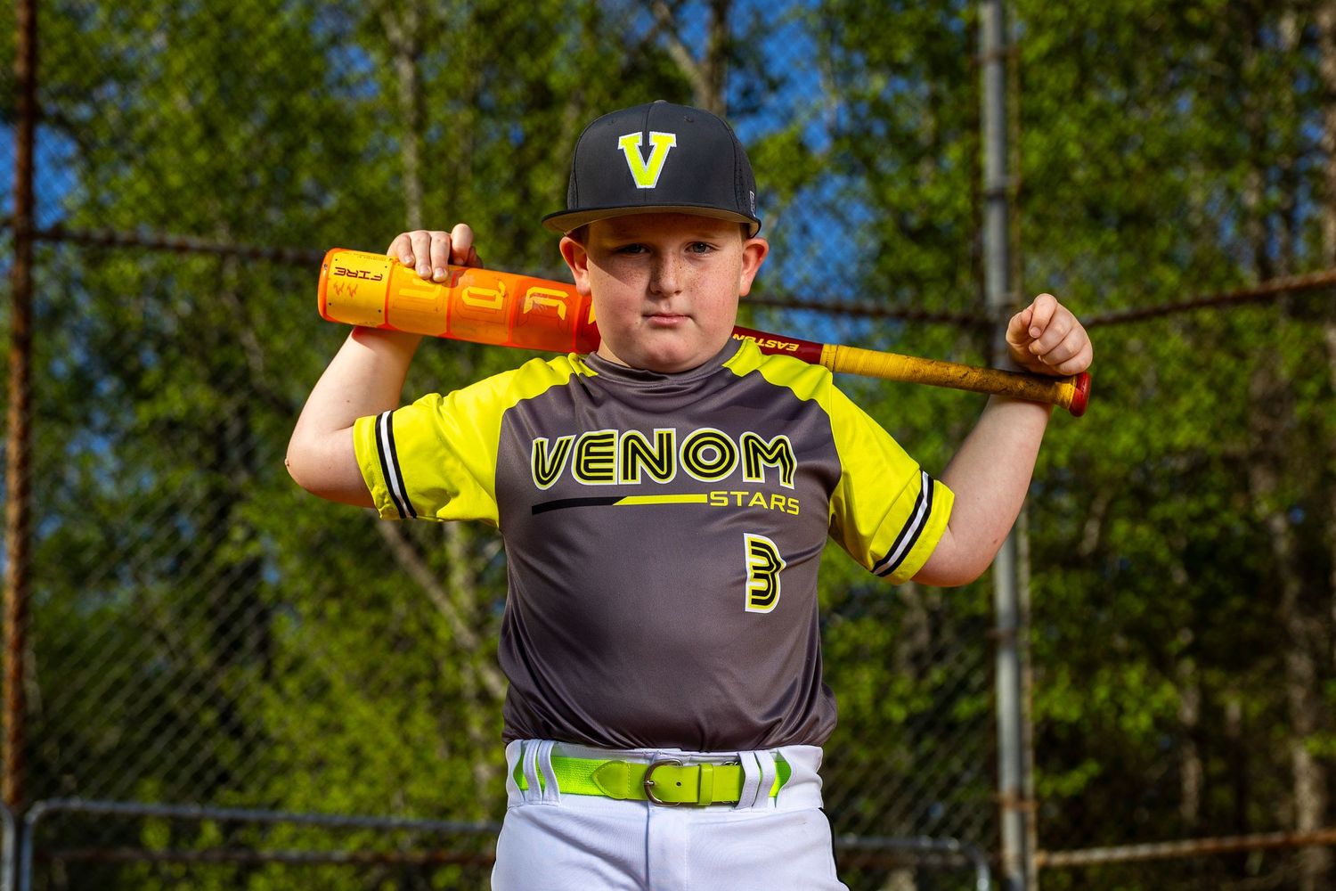 Dynamic Baseball Portrait