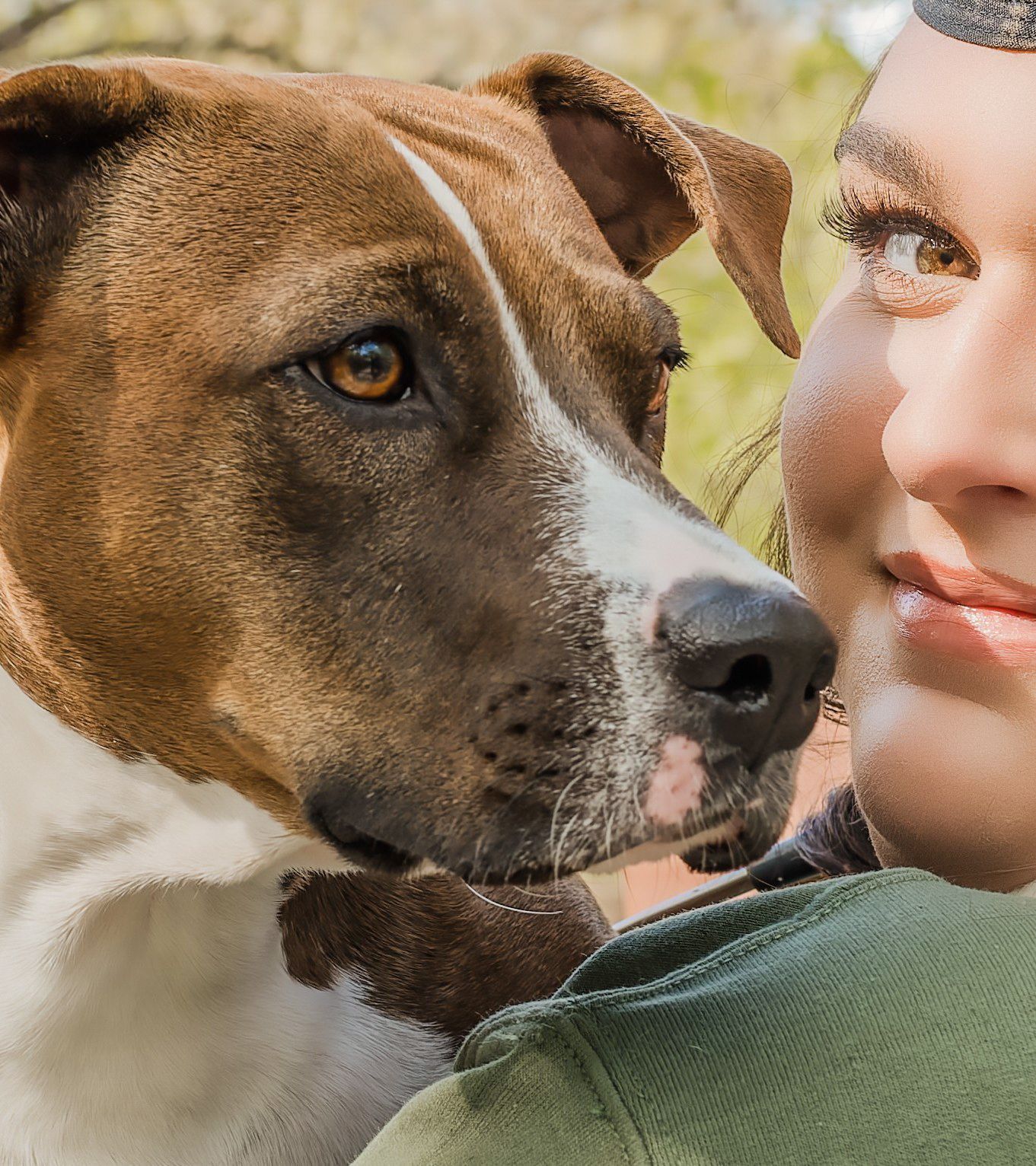 A brown and white dog with striking blue eyes gazes lovingly at their companion in a close-up outdoor portrait.