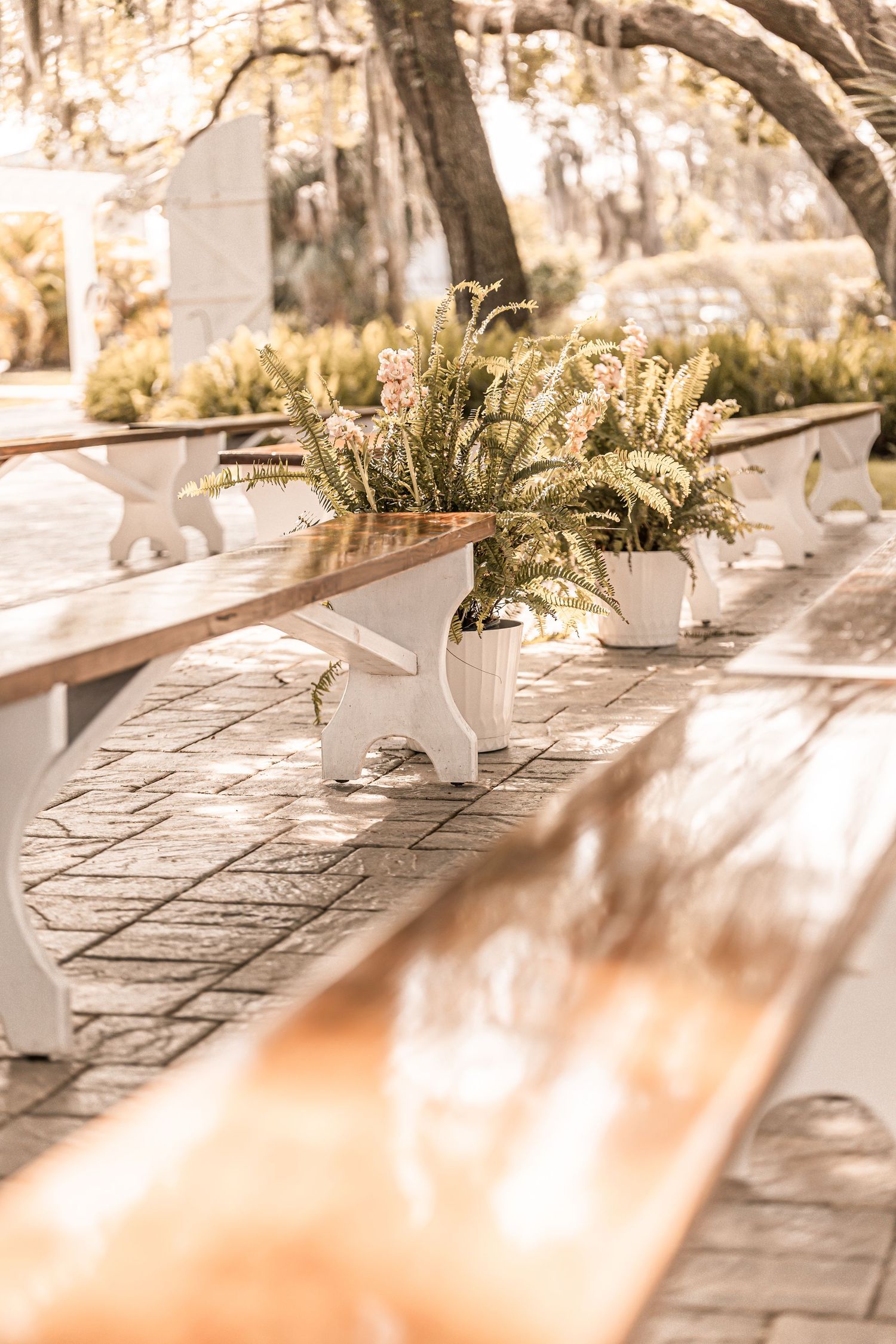 White wooden benches with potted floral arrangements create a rustic outdoor seating area in warm sunlight.