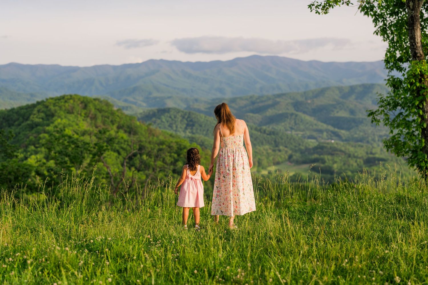 Two figures holding hands while looking out over rolling green mountains on a sunny summer afternoon in nature.