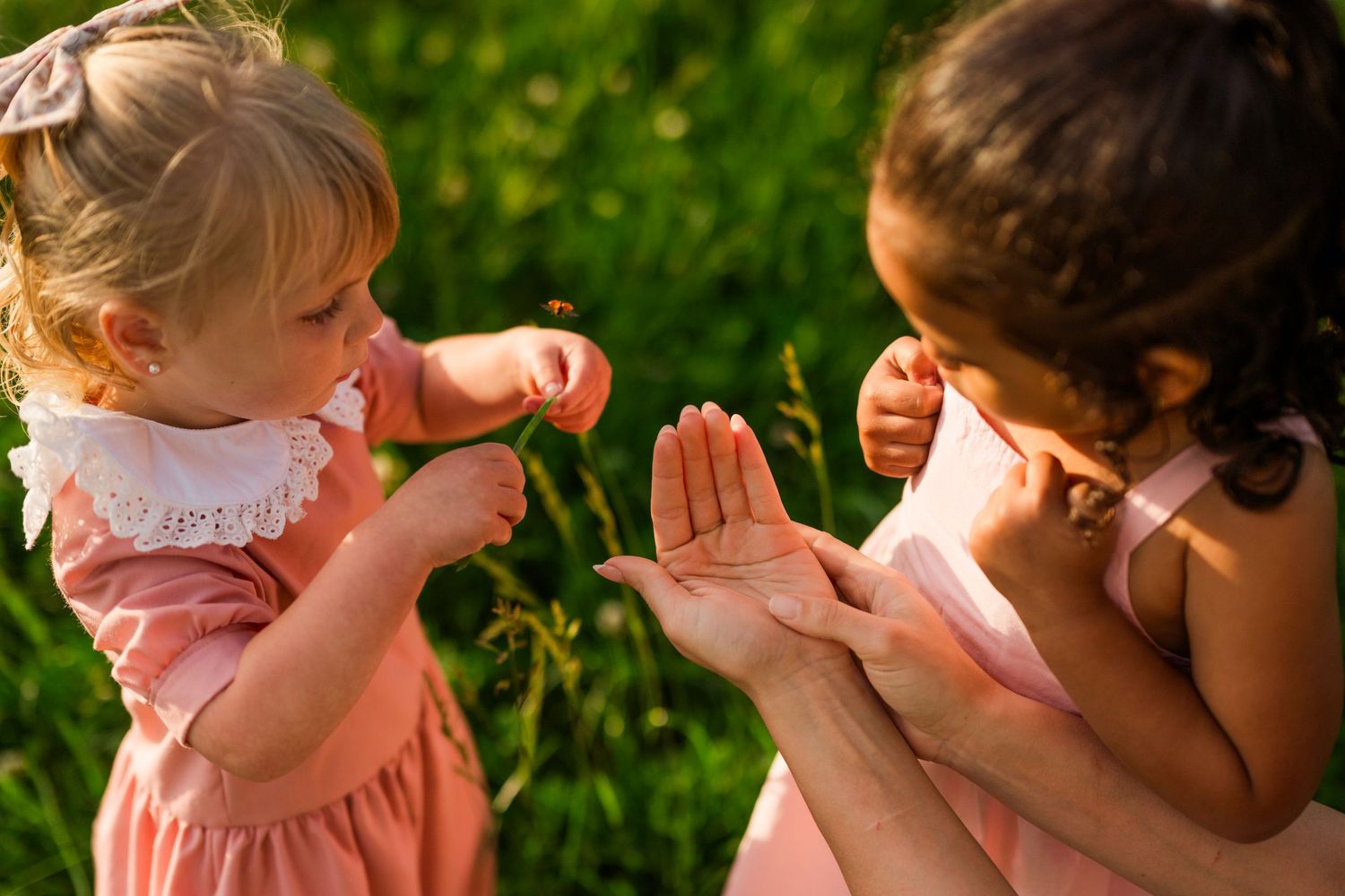Two children play together in a grassy outdoor setting on a sunny afternoon, dressed in pink outfits.