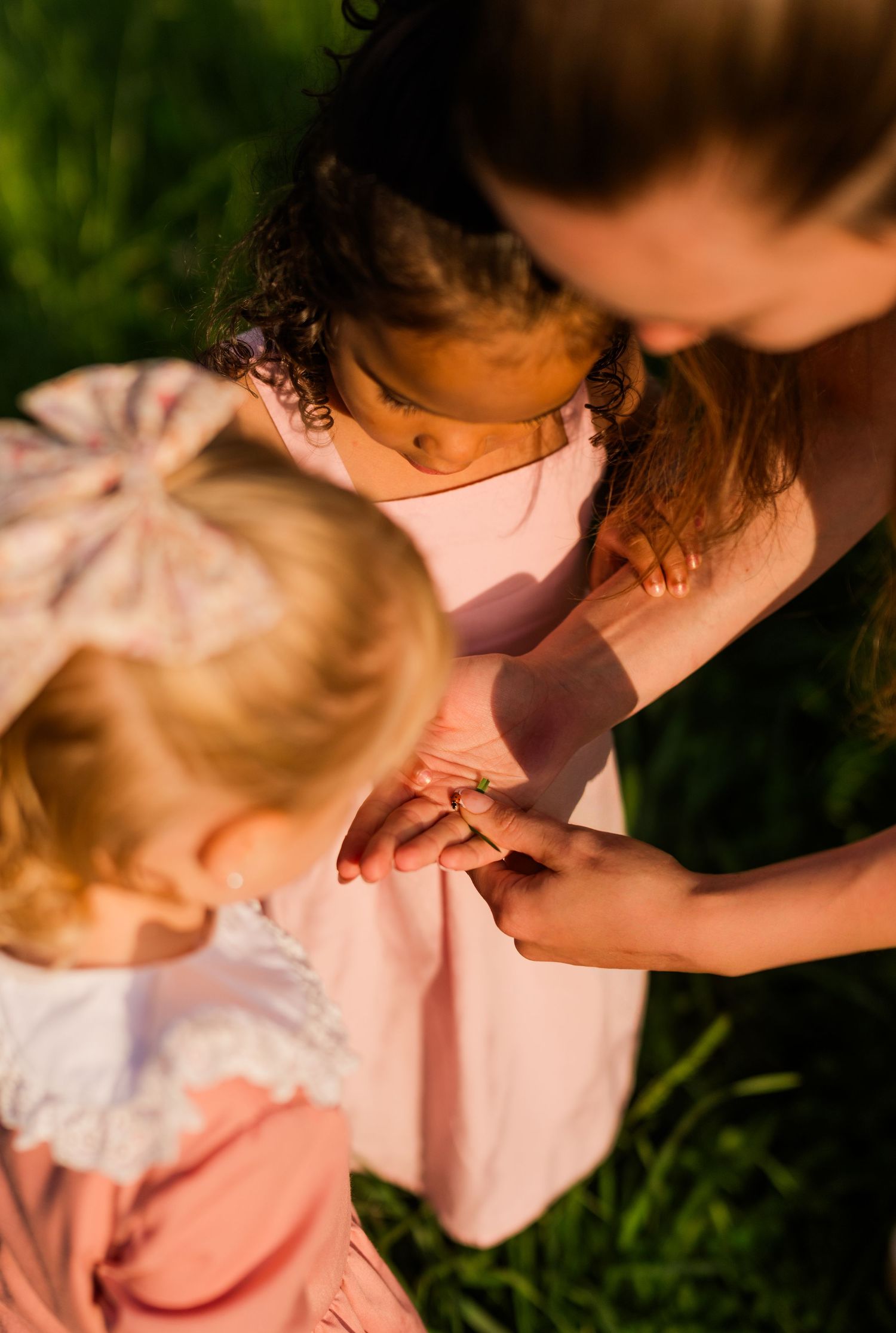 Children in pink clothing play outdoors in warm sunlight while an adult supervises the gentle interaction with a ladybug in the Smokies