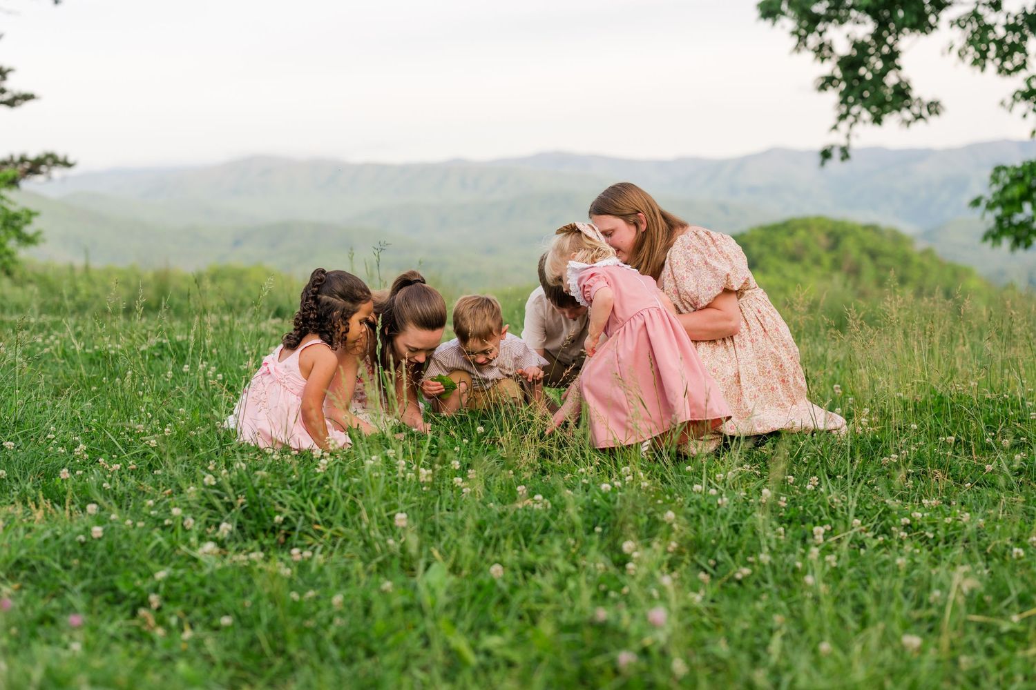 Several people wearing pink dresses gather close together in a sunlit meadow with rolling hills in the background.
