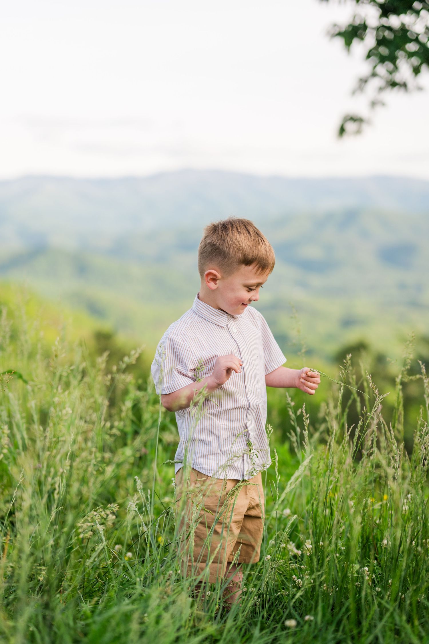 Small boy in white shirt explores tall green grass in a meadow with mountains in the background.
