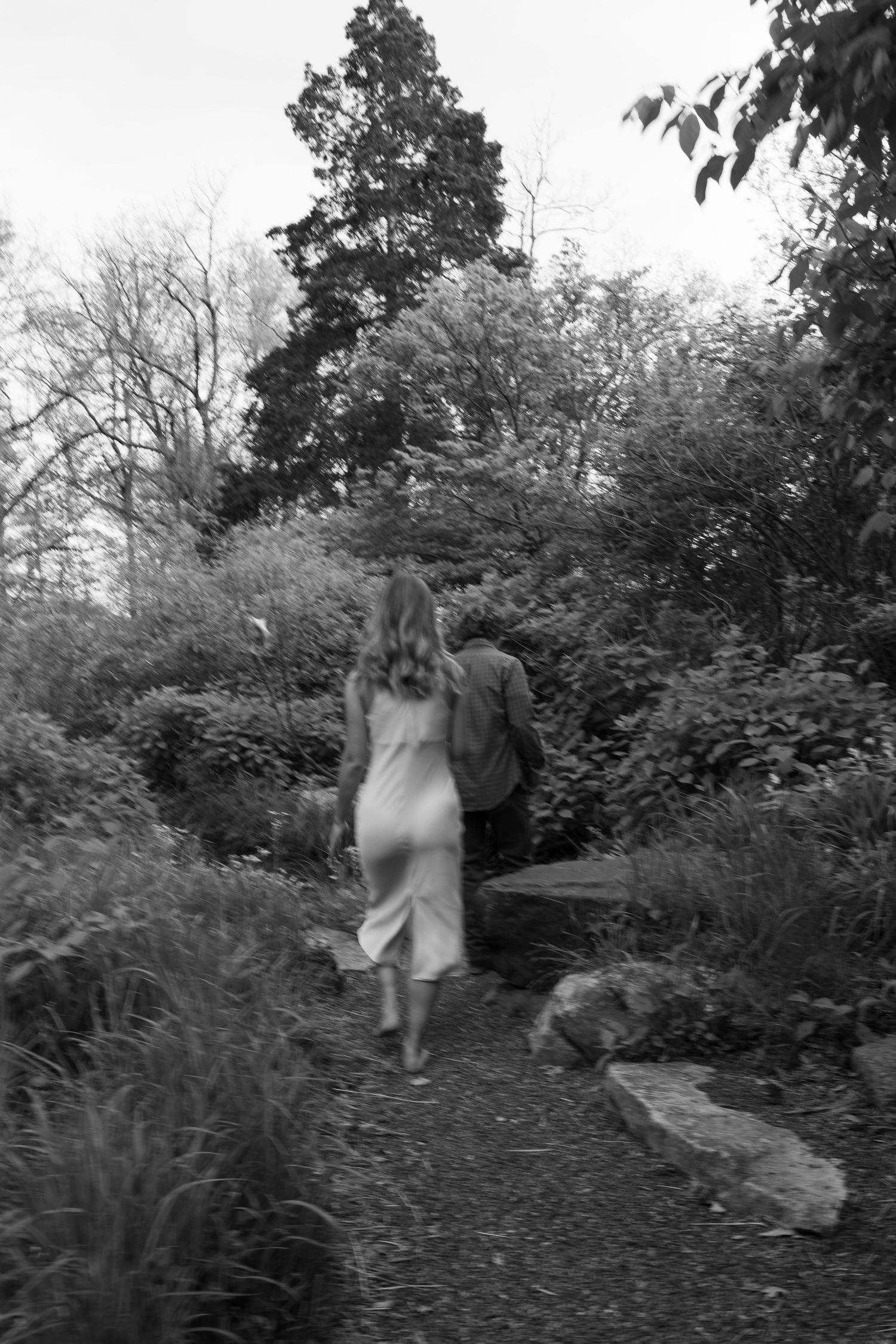 A dreamy black and white scene shows people walking through a misty garden path surrounded by trees.