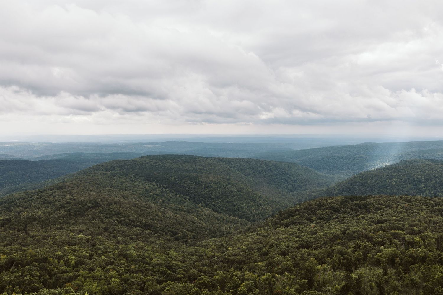 Rolling mountains covered in dense forest extend to the horizon under a dramatic cloudy sky in a scenic landscape view.