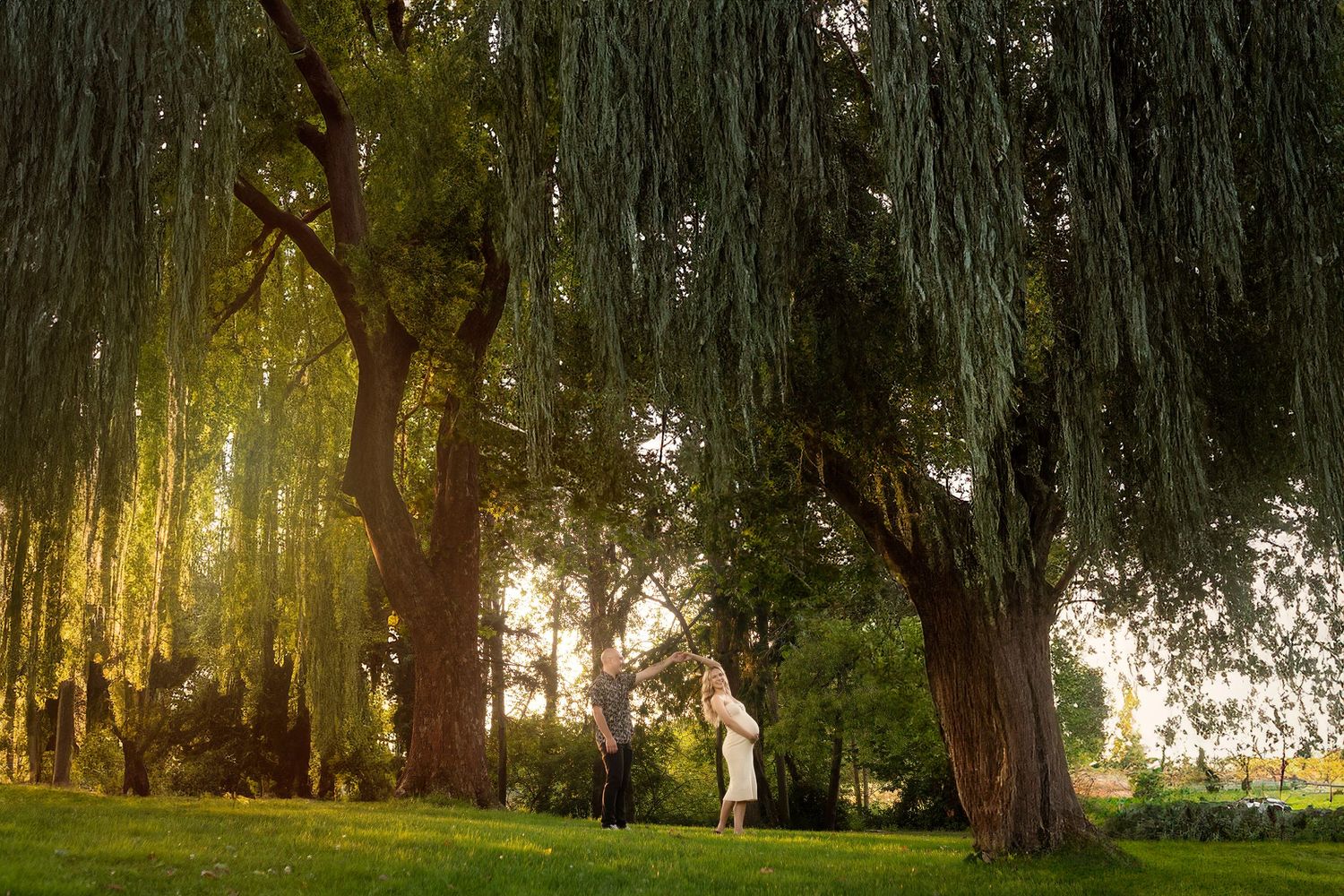 Dreamy outdoor scene with willow trees at sunset and figures in distance.