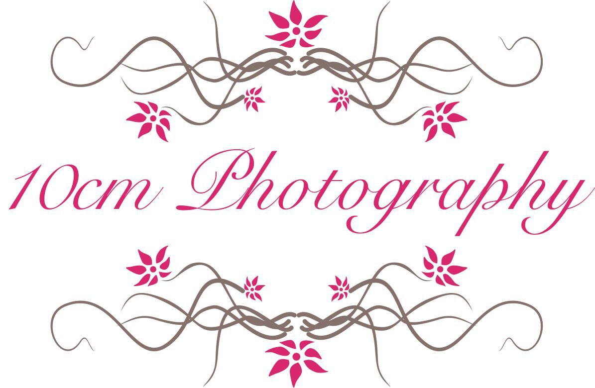 A decorative logo design featuring pink floral elements and elegant gray scrollwork with photography text.
