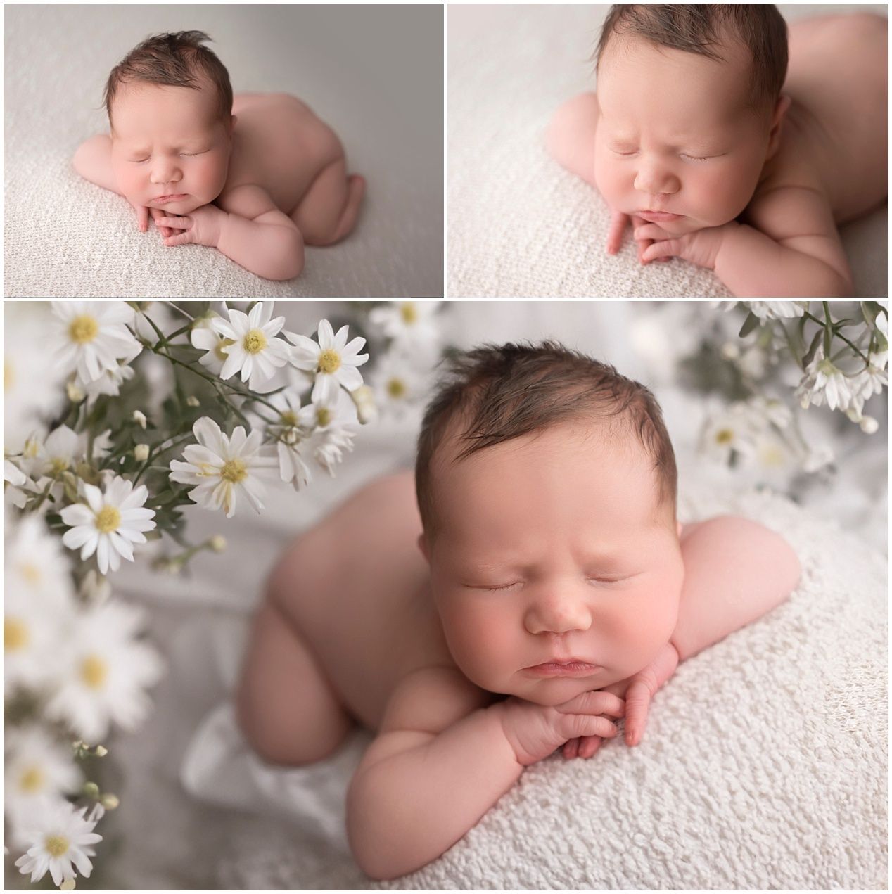 Professional newborn photography with soft white bedding and delicate daisy flowers.