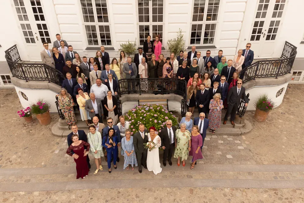 Aerial view of wedding guests gathered on historic building steps for formal group photograph.