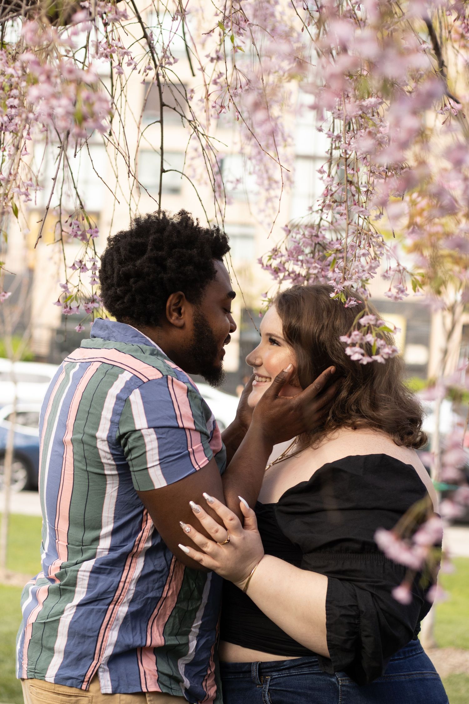A couple stands closely under blooming cherry blossoms. The man, with a short curly hairstyle and wearing a striped shir
