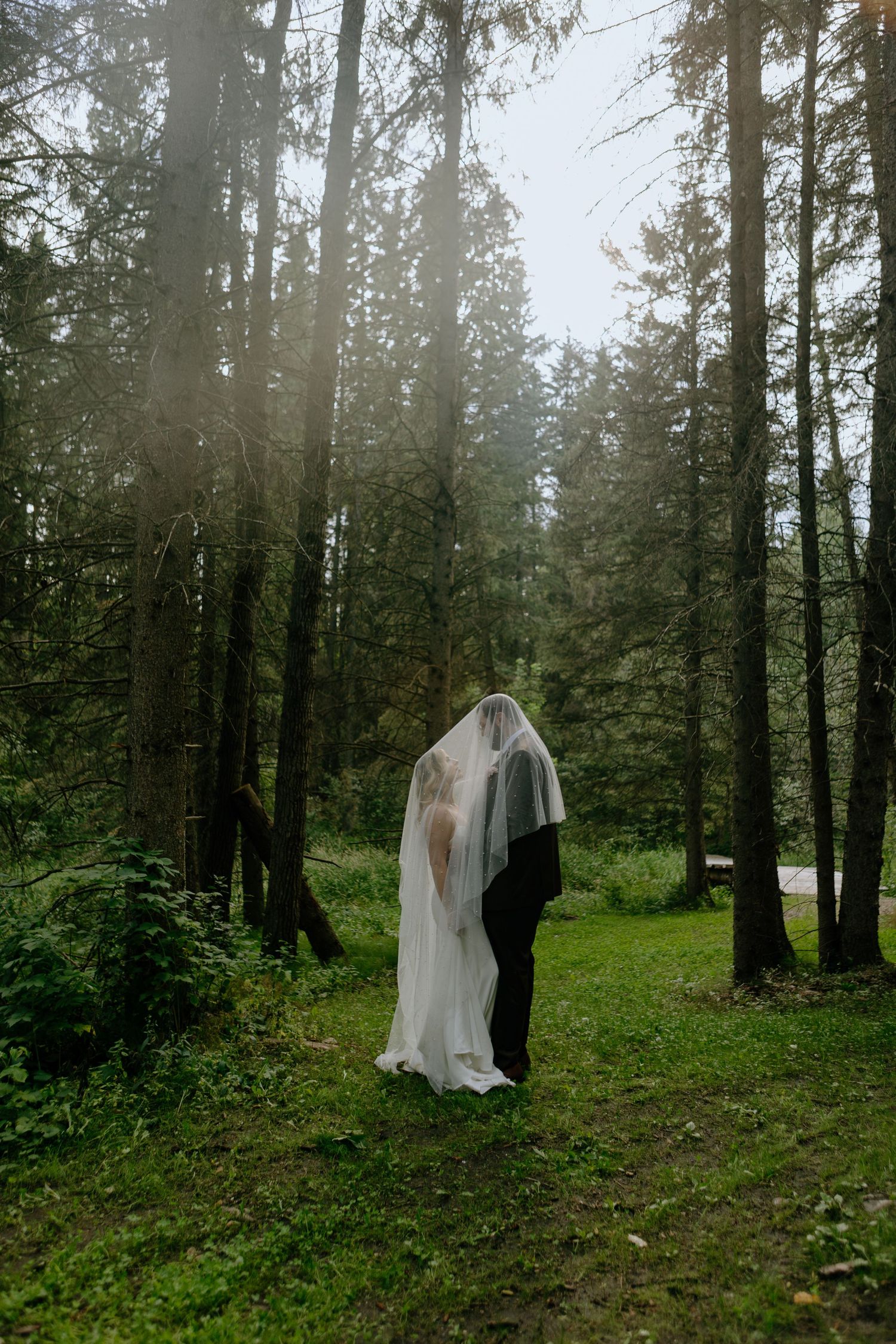 A couple enveloped in a white sheer wedding veil stands together in a misty evergreen forest clearing.