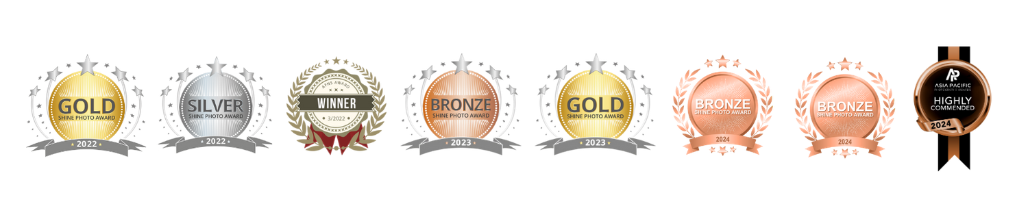 Eight circular medal icons in metallic finishes ranging from gold to silver to bronze and copper arranged in a horizontal line.