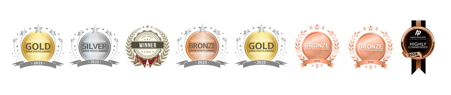 Eight round metallic medal designs showing different ranks with gold, silver, bronze, and copper finishes arranged horizontally.