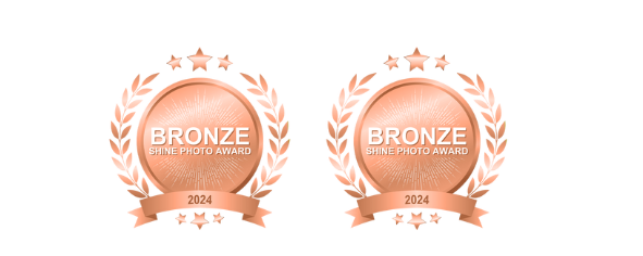 Bronze award badge with laurel wreath design shown in metallic rose gold color on black background.