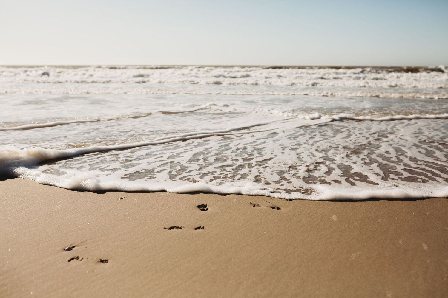 Fotoshoot op het strand van Scheveningen