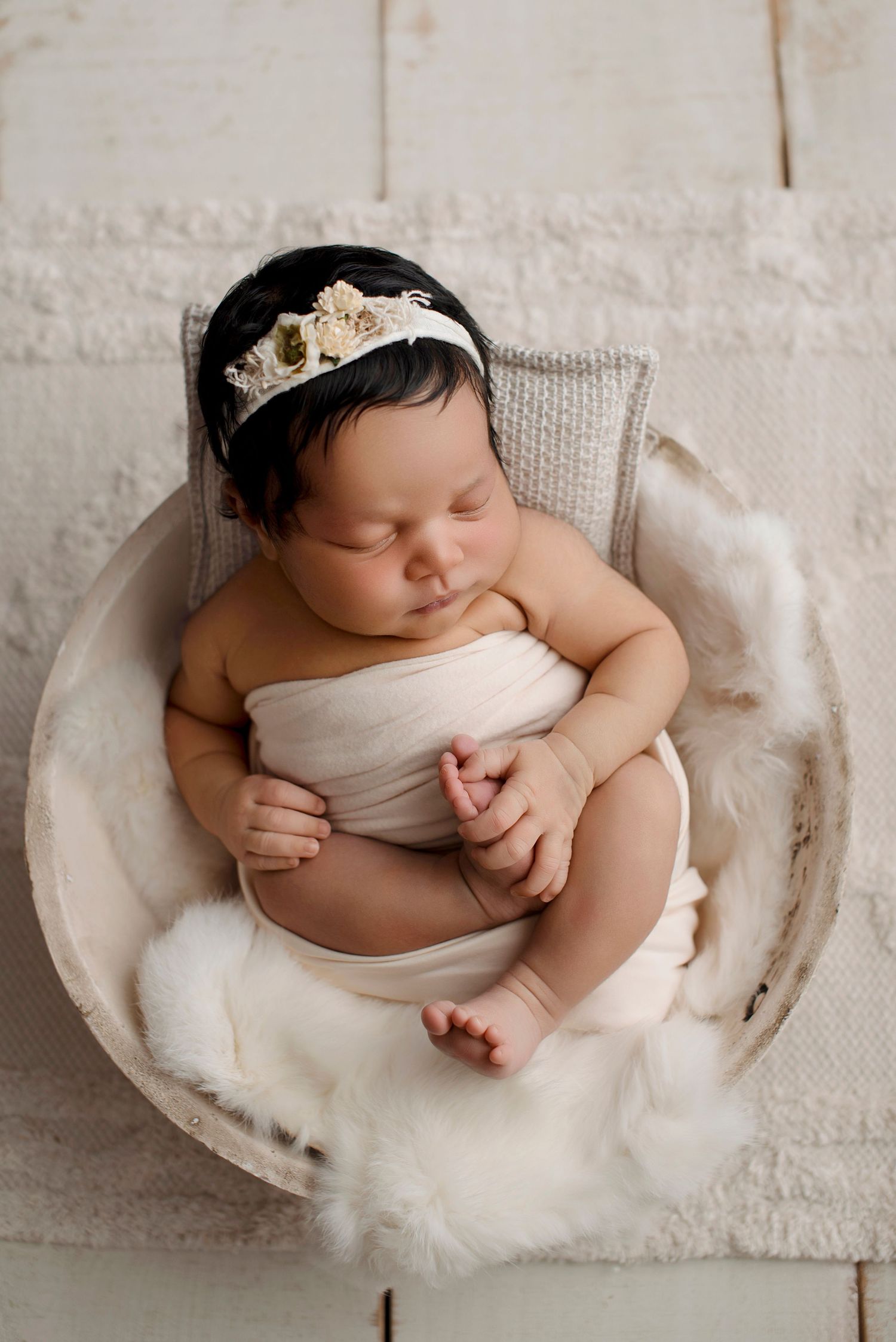newborn Tortosa