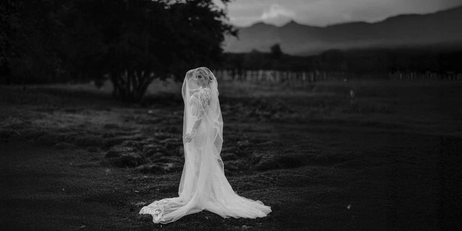 Novia de pie con velo largo en un paisaje natural y montañoso, estilo artístico en blanco y negro.