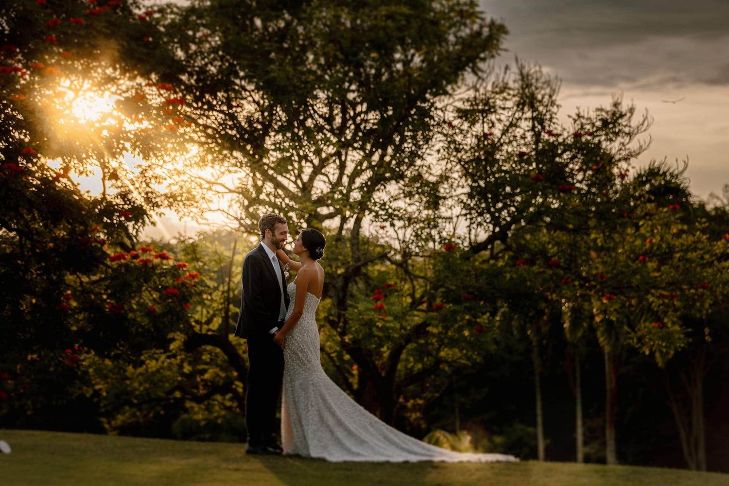 A romantic sunset wedding portrait silhouetted against golden light filtering through trees on a hillside.