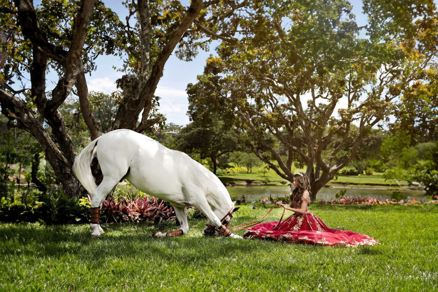 A white horse curiously inspects a red picnic blanket laid out on green grass under trees in a park setting.