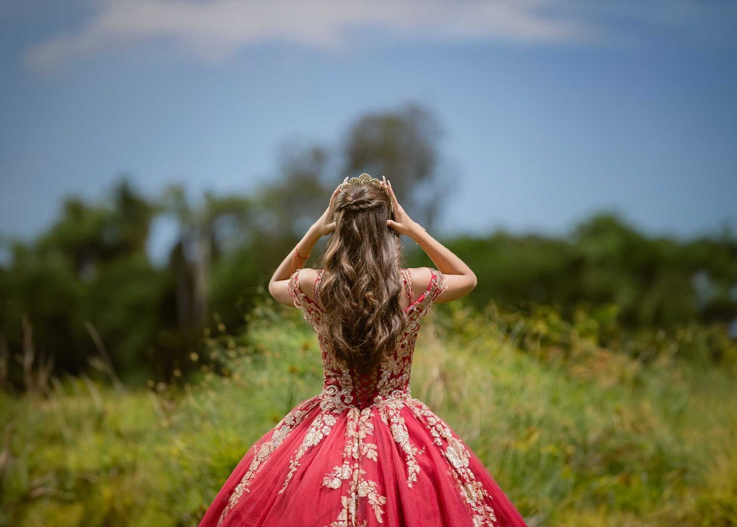 A person in a red ball gown with floral details stands in a green meadow field with their back to the camera.