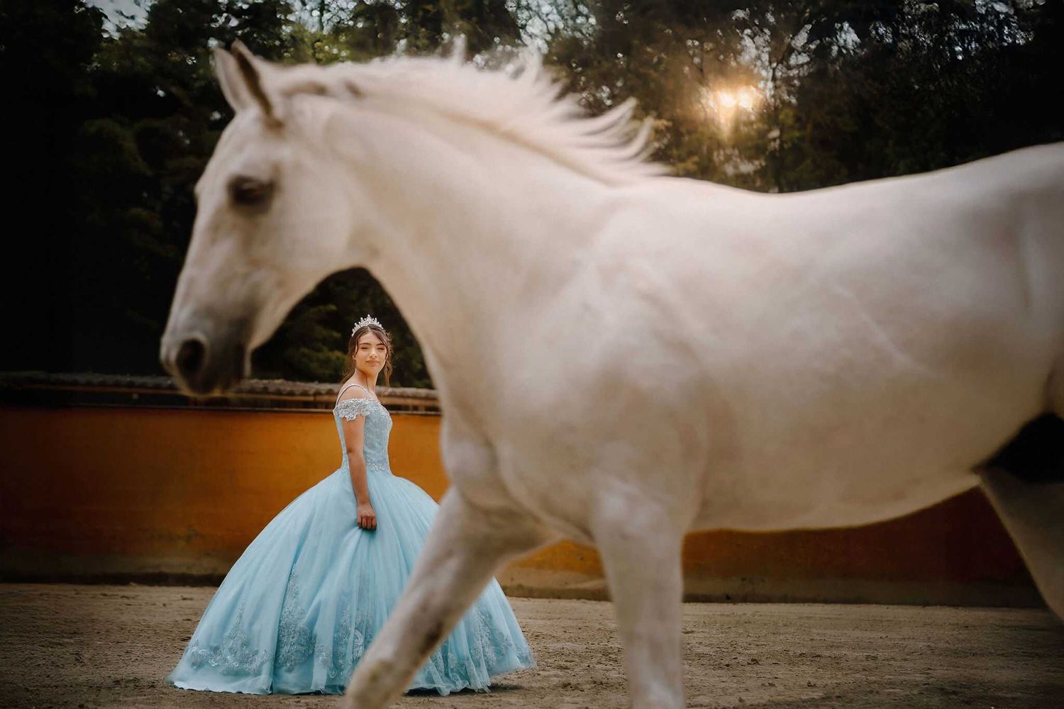 A white horse stands next to someone in a light blue ballgown at sunset in an equestrian arena.