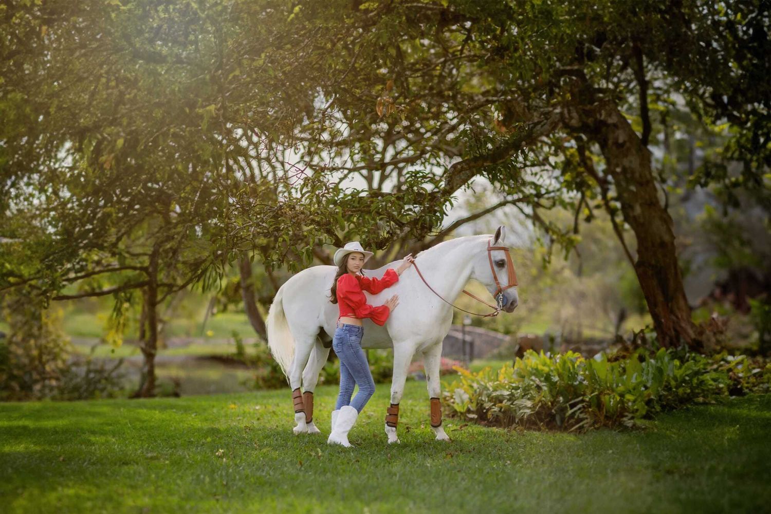 A person wearing red stands next to a white horse in a sunlit garden with trees and grass.