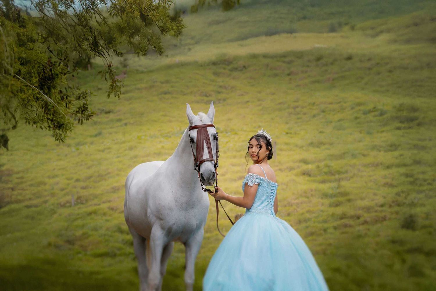 A person in a blue ballgown stands next to a majestic white horse in a serene grassy meadow.