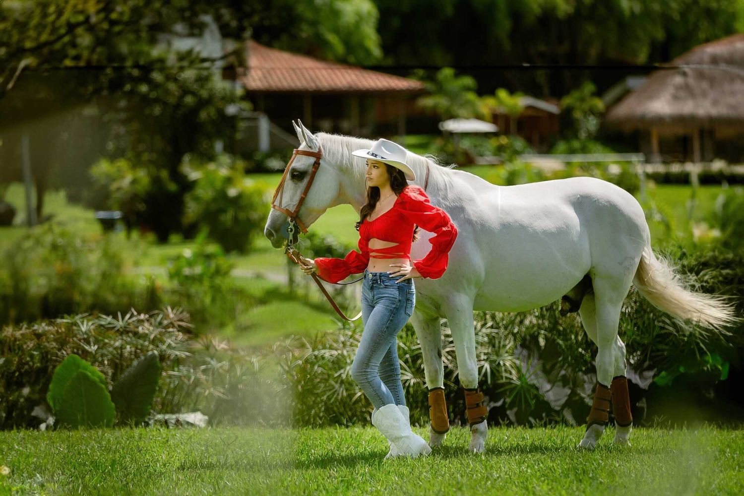 Person in red sweater and jeans leading a majestic white horse through a lush green garden landscape.