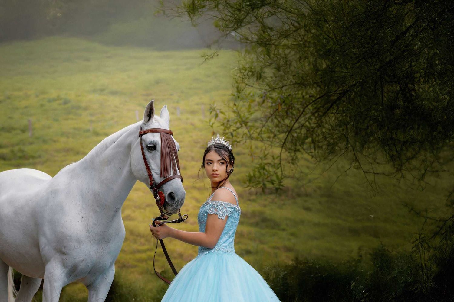 Person in blue ball gown stands with white horse in lush green countryside setting.