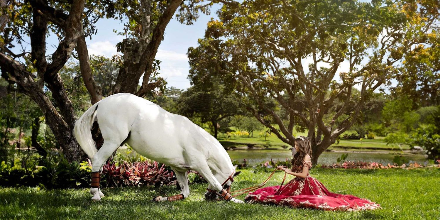 A white horse bows down near a pink picnic blanket spread under a shady tree in a peaceful countryside setting.