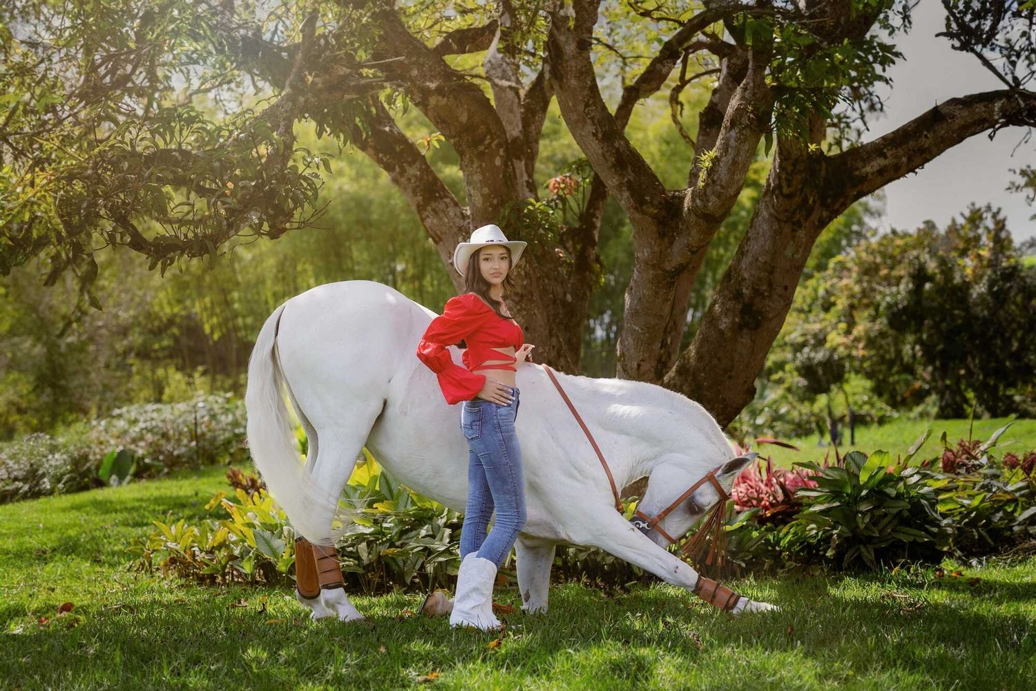 A person in casual attire stands with a white horse in a lush garden setting on a sunny afternoon.