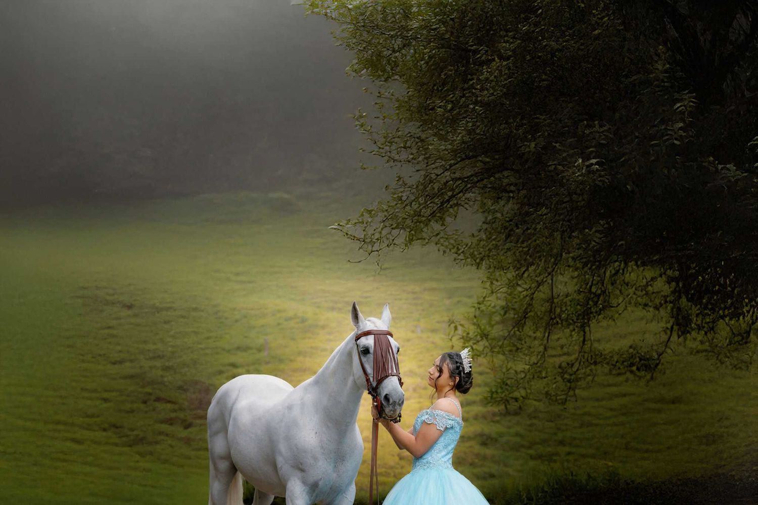 Beautiful white horse in a lush green field stands majestically in golden evening sunlight.