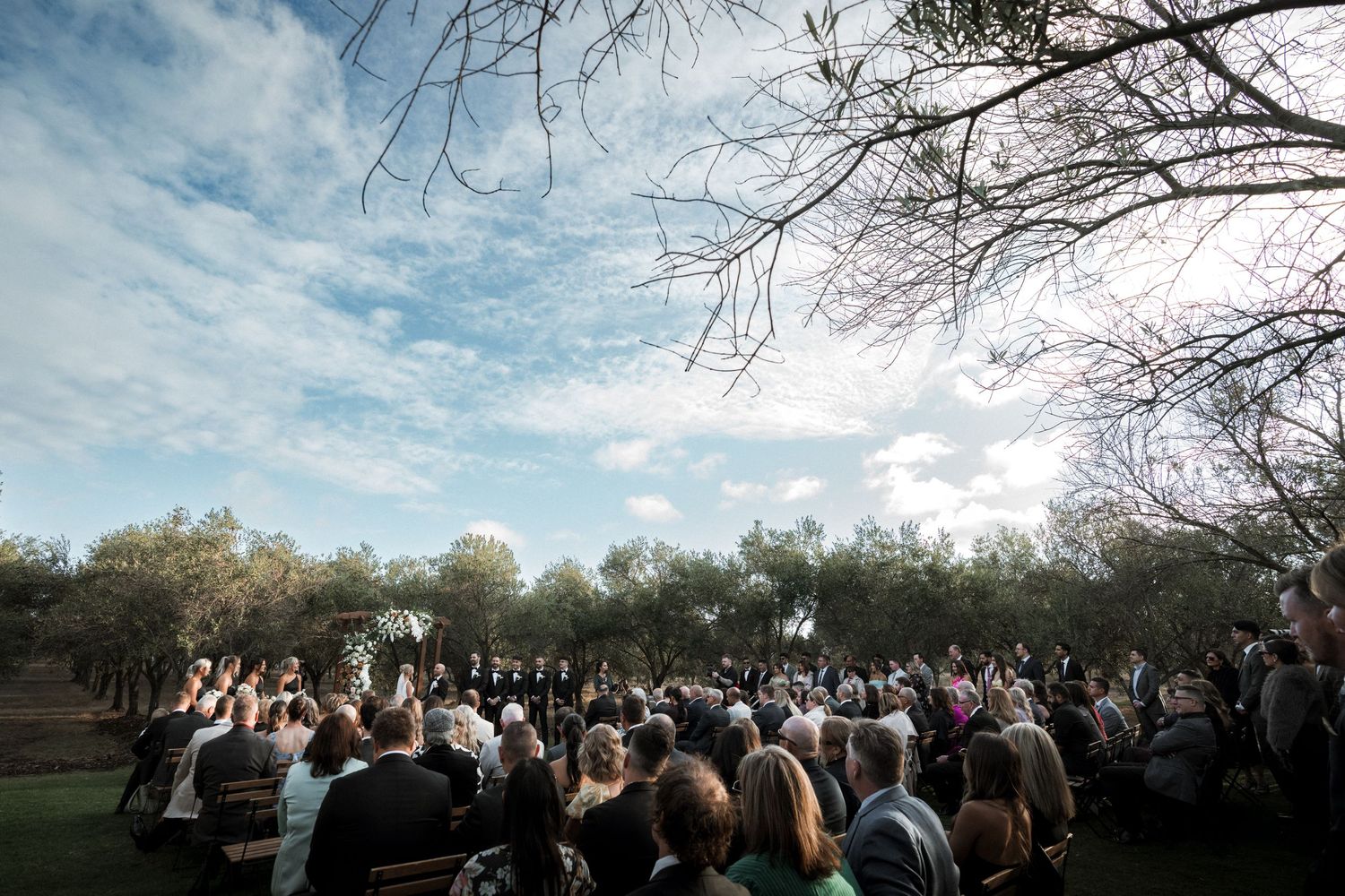 A large outdoor wedding gathering under trees with guests seated in rows.