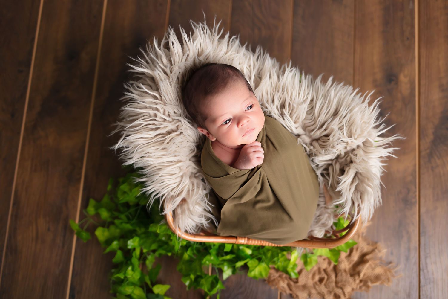 newborn photo