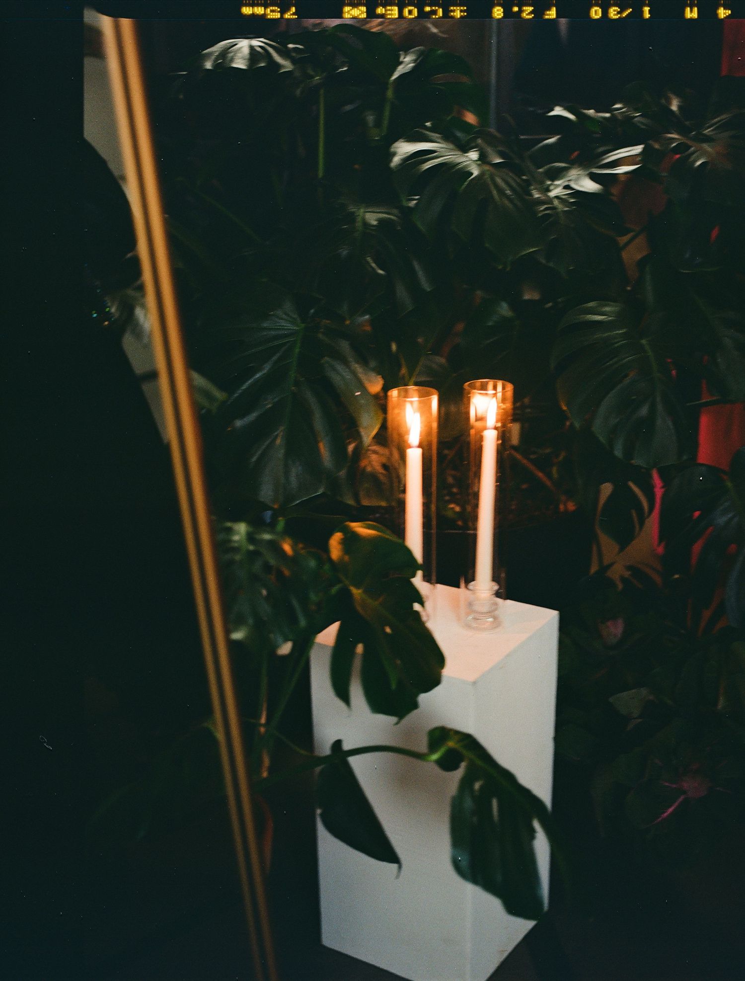 Two glowing candles sit atop a white pedestal against dark foliage in a moody nighttime setting.