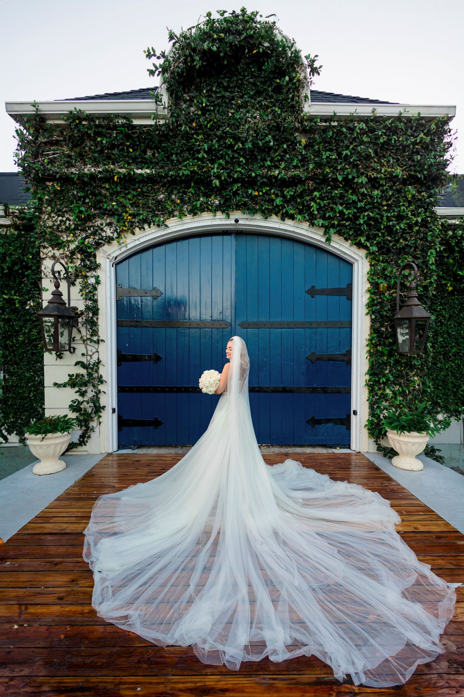 Dramatic bridal portrait with flowing veil against blue door and ivy-covered wall.
