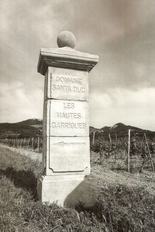 image du domaine Santa Duc à Gigondas (vigneron Yves Gras)