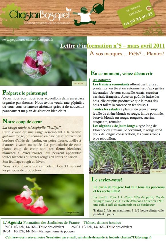 newsletter du pépiniériste chastan bosquet