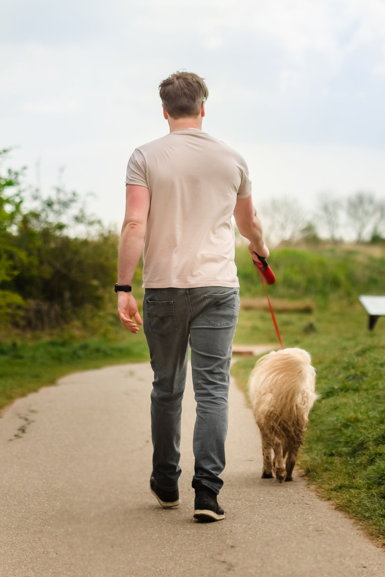 Steven Greenwood Pet Photography