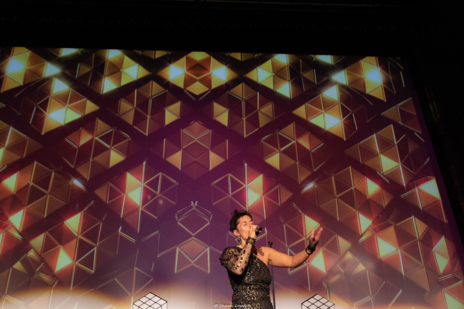 Stage performer silhouetted against geometric pattern backdrop during theatrical show.