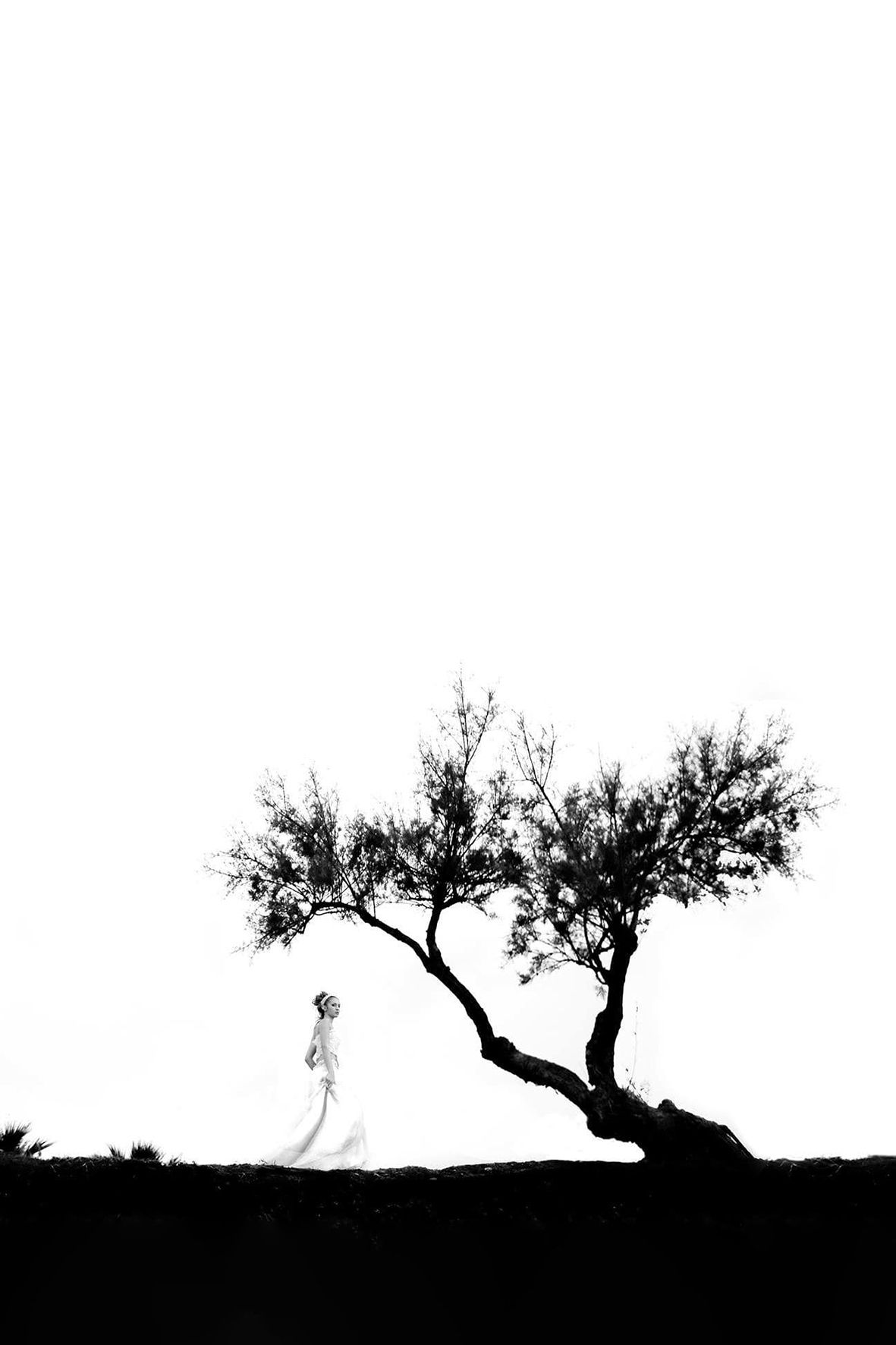 Silhouette of a bride in white dress against a black and white landscape with a dramatic lone tree.