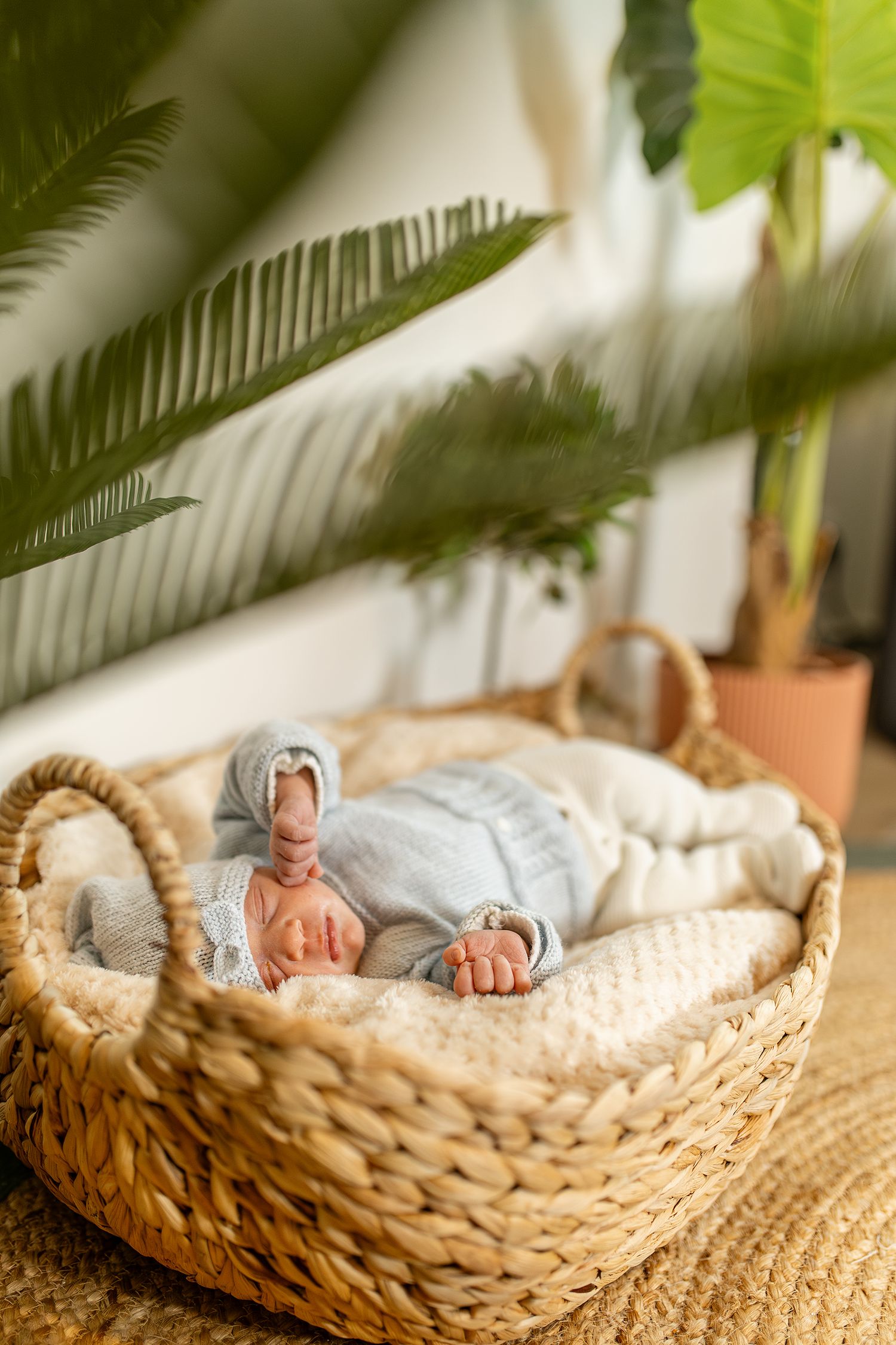 Bébé paisible photographié en lumière naturelle.